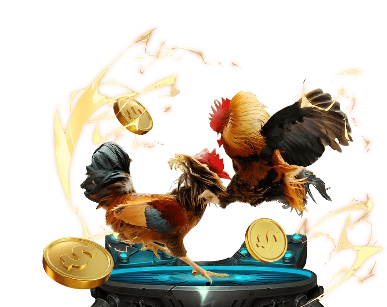 Đá gà cựa dao Cat88